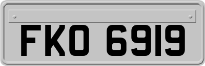 FKO6919