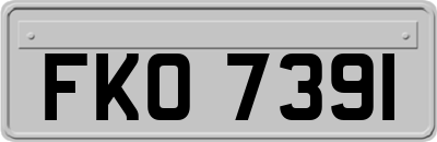FKO7391