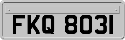 FKQ8031