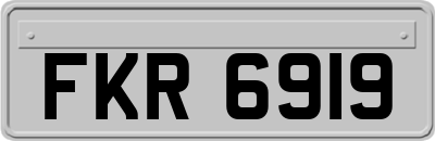FKR6919