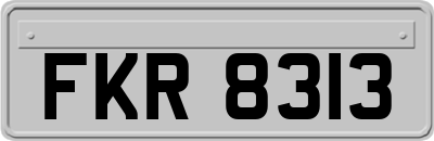 FKR8313
