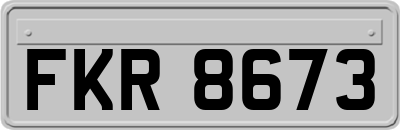 FKR8673