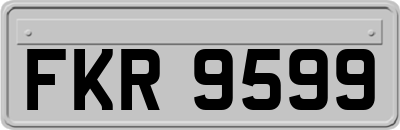 FKR9599