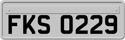 FKS0229