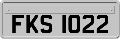 FKS1022