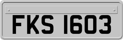 FKS1603