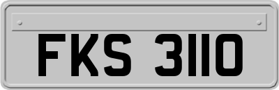 FKS3110