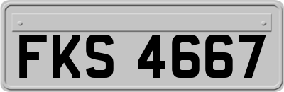 FKS4667