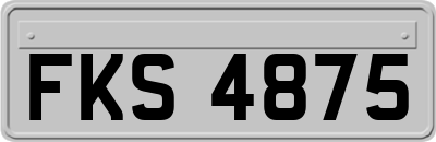 FKS4875