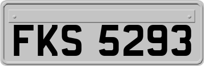 FKS5293
