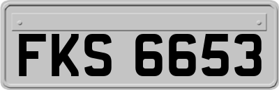 FKS6653