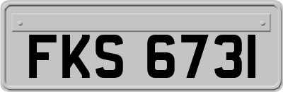 FKS6731