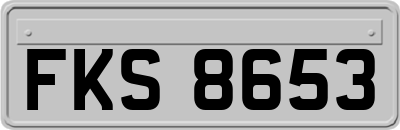 FKS8653