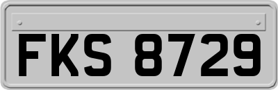 FKS8729