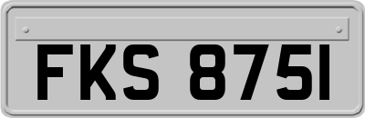 FKS8751