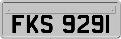FKS9291