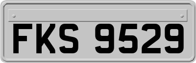FKS9529