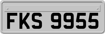 FKS9955