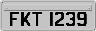 FKT1239