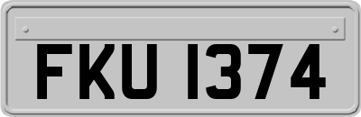 FKU1374