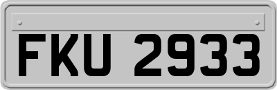 FKU2933