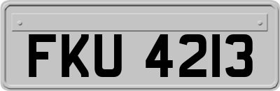 FKU4213