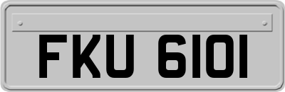 FKU6101