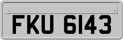 FKU6143