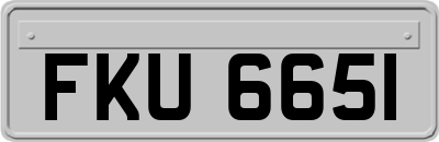FKU6651