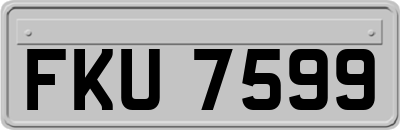 FKU7599