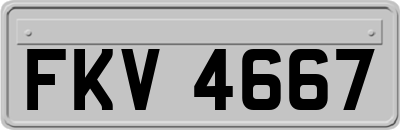 FKV4667