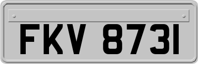 FKV8731