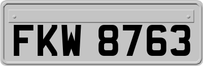 FKW8763