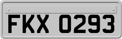 FKX0293