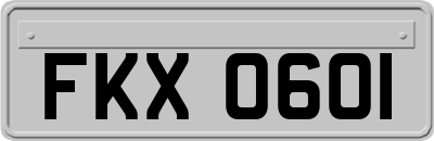FKX0601
