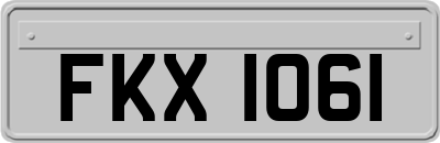 FKX1061