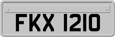 FKX1210