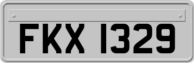 FKX1329
