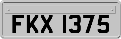 FKX1375