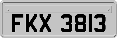 FKX3813