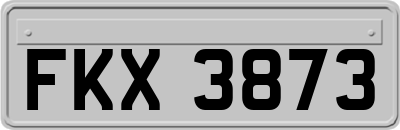 FKX3873