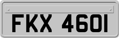 FKX4601