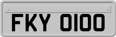 FKY0100