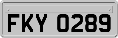 FKY0289
