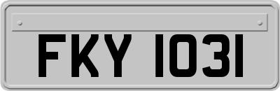 FKY1031