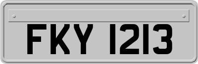 FKY1213