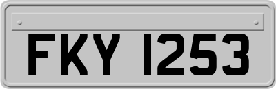 FKY1253