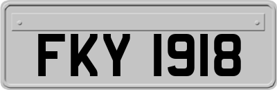 FKY1918