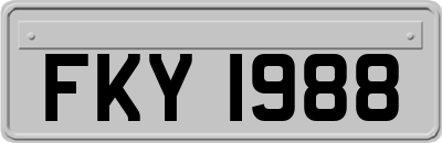 FKY1988