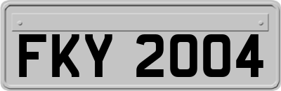 FKY2004